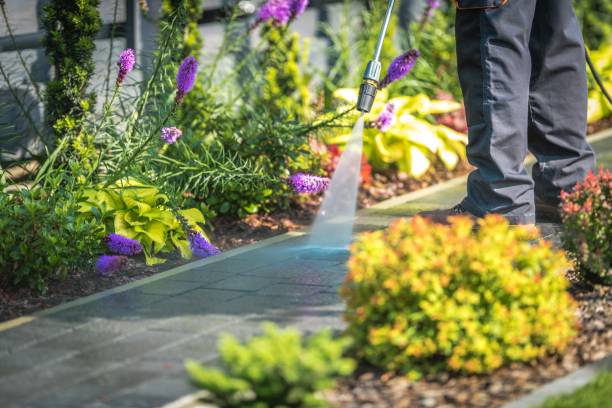 Best Winterizing Services  in Browntown, PA