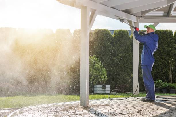 Best Pre-Holiday Cleaning  in Browntown, PA